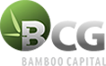 Tập đoàn Bamboo Capital