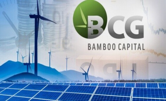 (BĐT) - Bamboo Capital báo lãi tăng 265%, bắt đầu ghi nhận lợi nhuận từ lĩnh vực bảo hiểm