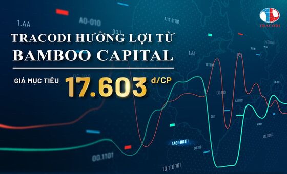 (BCG) - Tracodi hưởng lợi từ Bamboo Capital BCG, giá mục tiêu 17.603 đ/cp